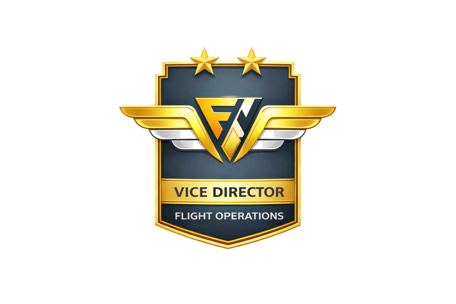 Vice Director Flight Ops